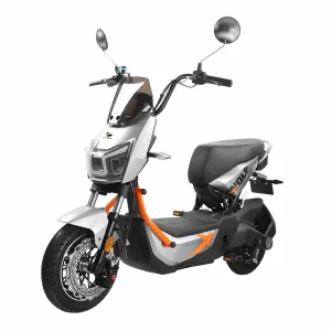 Motobici Eléctrica ZL Wolf Honey Whale