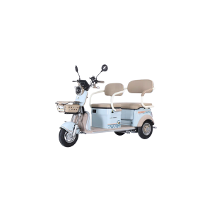 Trimoto Eléctrica Honey Whale HN-N1 1300W | 30 km/h