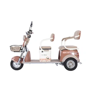 Trimoto Eléctrica Honey Whale HN-N1 1300W | 30 km/h