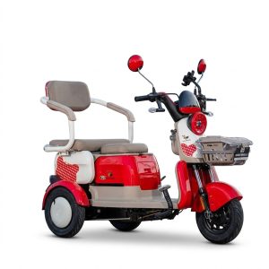 Trimoto Eléctrica Honey Whale V5 900W | 55 km de Autonomía