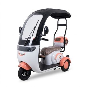 Trimoto Eléctrica Honey Whale V11 Techada