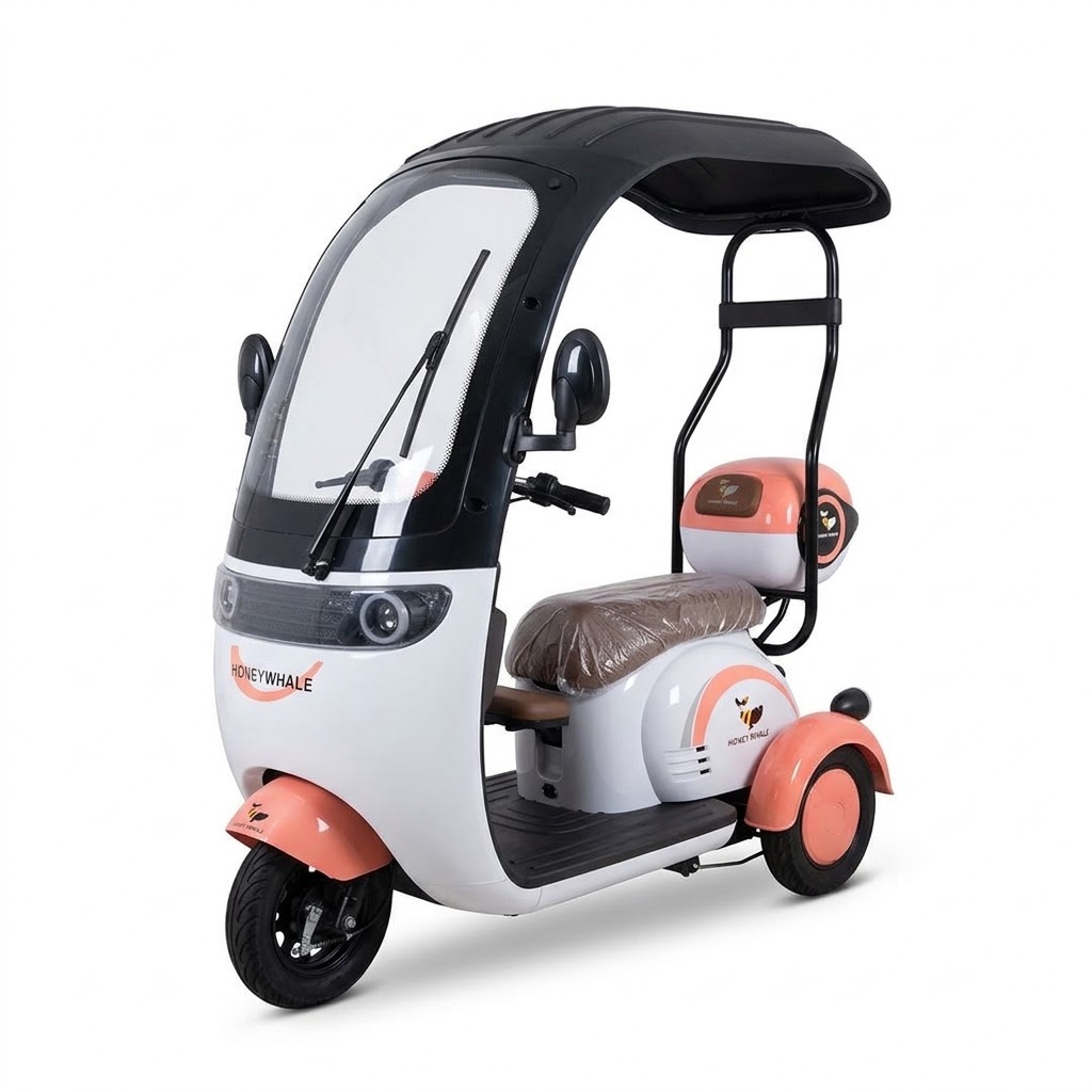 Trimoto Eléctrica Honey Whale V11 Techada