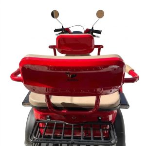 Trimoto Eléctrica Honey Whale V6