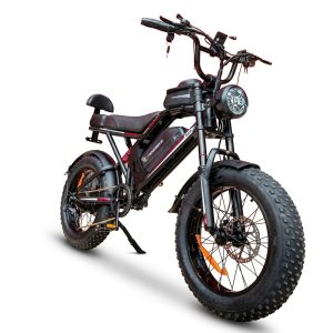 Bicicleta Eléctrica Honey Whale K6S 1080W | 55 km/h | 90 km Autonomía