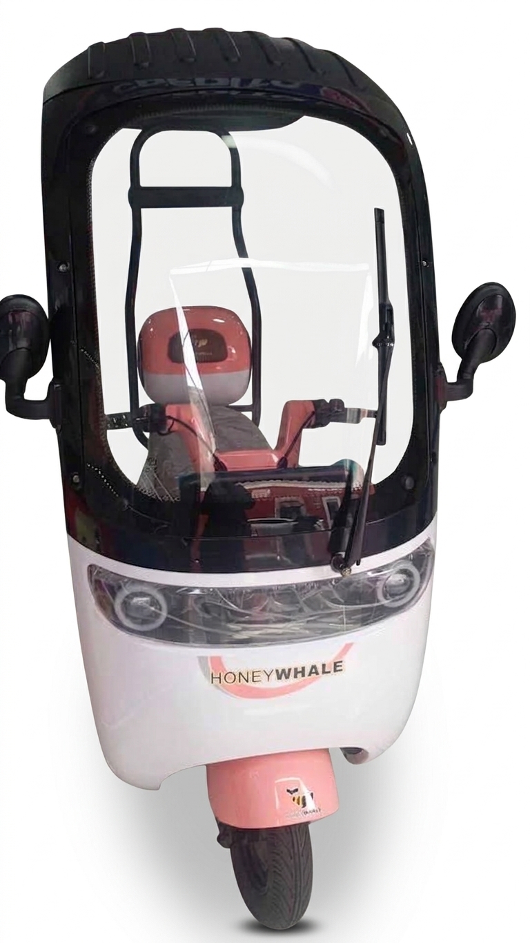 Trimoto Eléctrica Honey Whale V11 Techada - Imagen 3