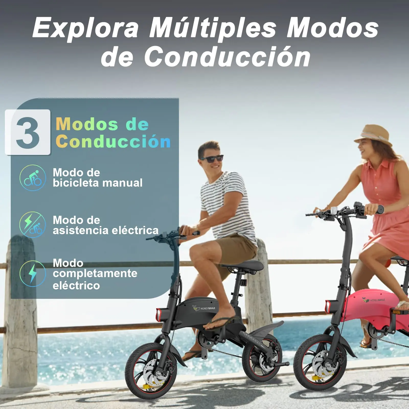 Bicicleta Eléctrica Honey Whale S3 - Imagen 4
