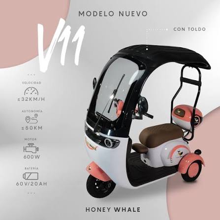 Trimoto Eléctrica Honey Whale V11 Techada - Imagen 2