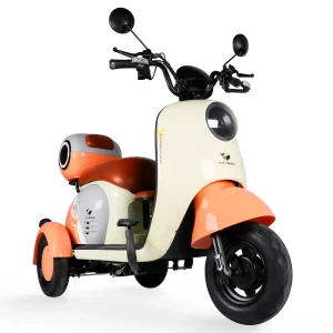 Motobici Eléctrica Honey Whale V1 de 3 Ruedas