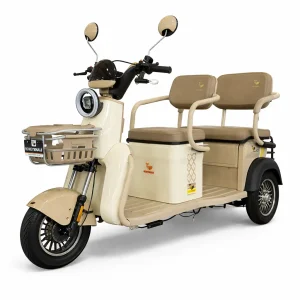 Trimoto Eléctrica Honey Whale V6