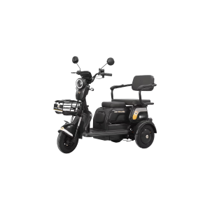 Trimoto Eléctrica Honey Whale V4